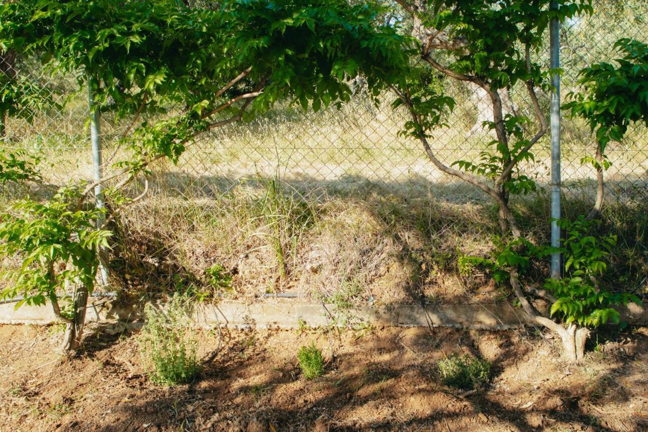 Βίλλα Φανούλα Villa Fanoula Khórto Dış mekan fotoğraf