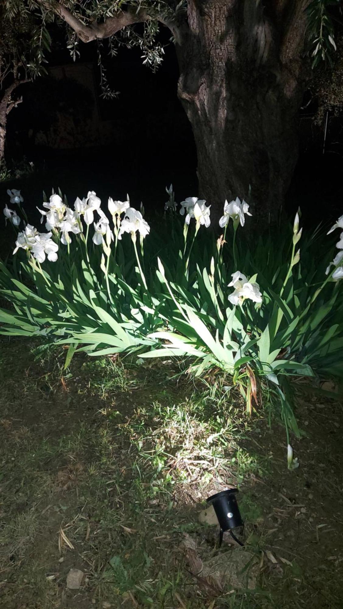Βίλλα Φανούλα Villa Fanoula Khórto Dış mekan fotoğraf