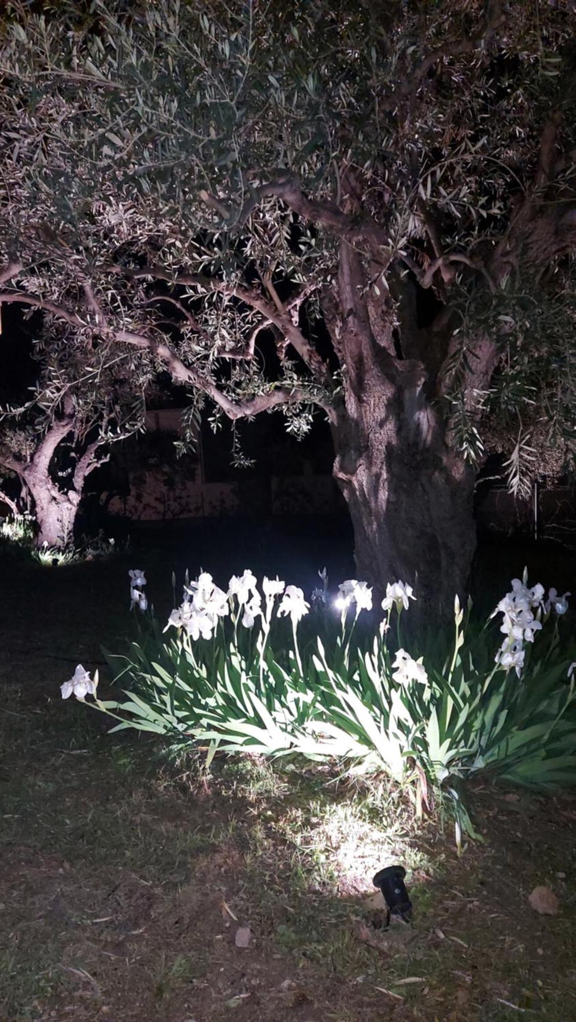 Βίλλα Φανούλα Villa Fanoula Khórto Dış mekan fotoğraf